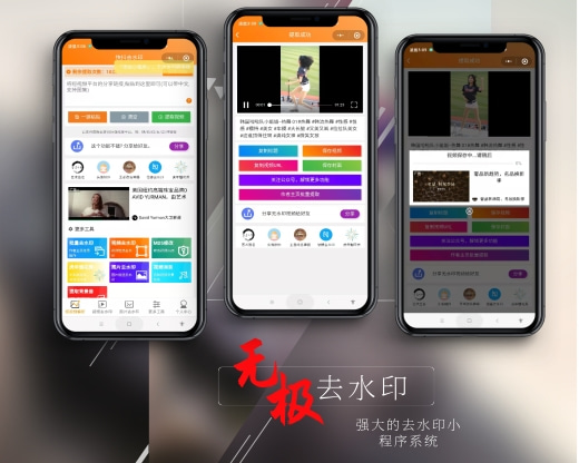 【独家】【无极去水印】强大的去水印小程序系统,变现能力MAX-极客分享